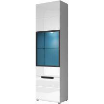 Witryna PRAWA 2497AJ06 TYP-06 HEKTOR Podstawowe
